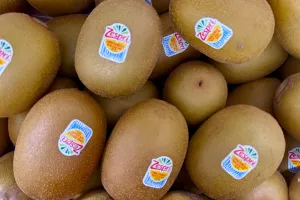 Нова Зеландія