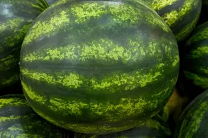 fruitimpex.com.ua кавун