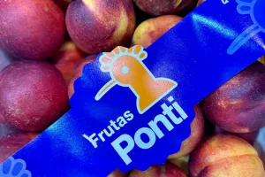 fruitimpex.com.ua
