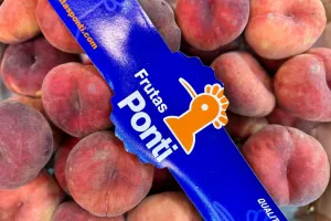 fruitimpex.com.ua