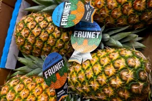 fruitimpex.com.ua ананас