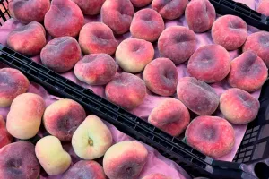 персик fruitimpex.com.ua